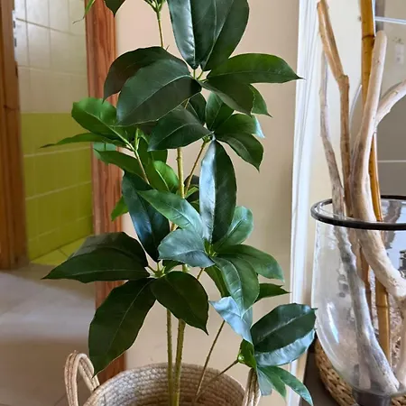 Beautiful And Comfortable By The Sea