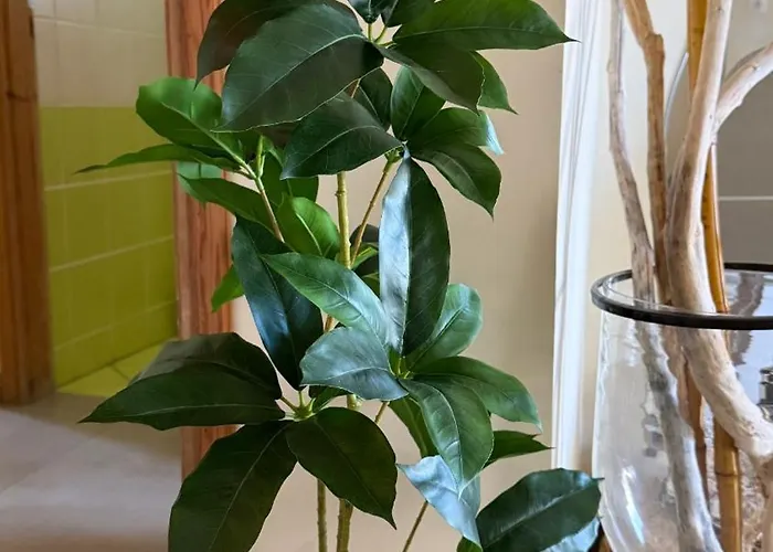 Beautiful And Comfortable By The Sea